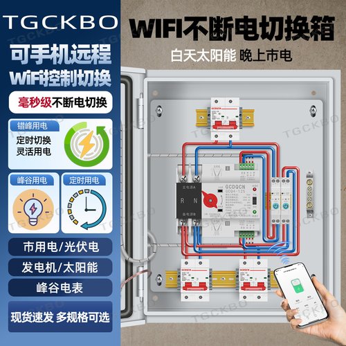 家用2P63A两路电源不断电毫秒级切换明装挂墙控制箱太阳能充电桩