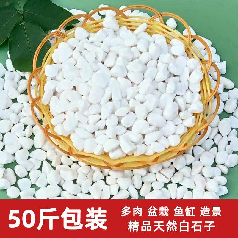 北京白色石子石头大鹅卵