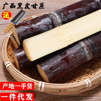10斤包邮新鲜广西黑皮甘蔗非青黄皮黄金陶山甘蔗应季水果脆甜多汁