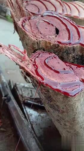 野生鸡血藤泡酒中草药材