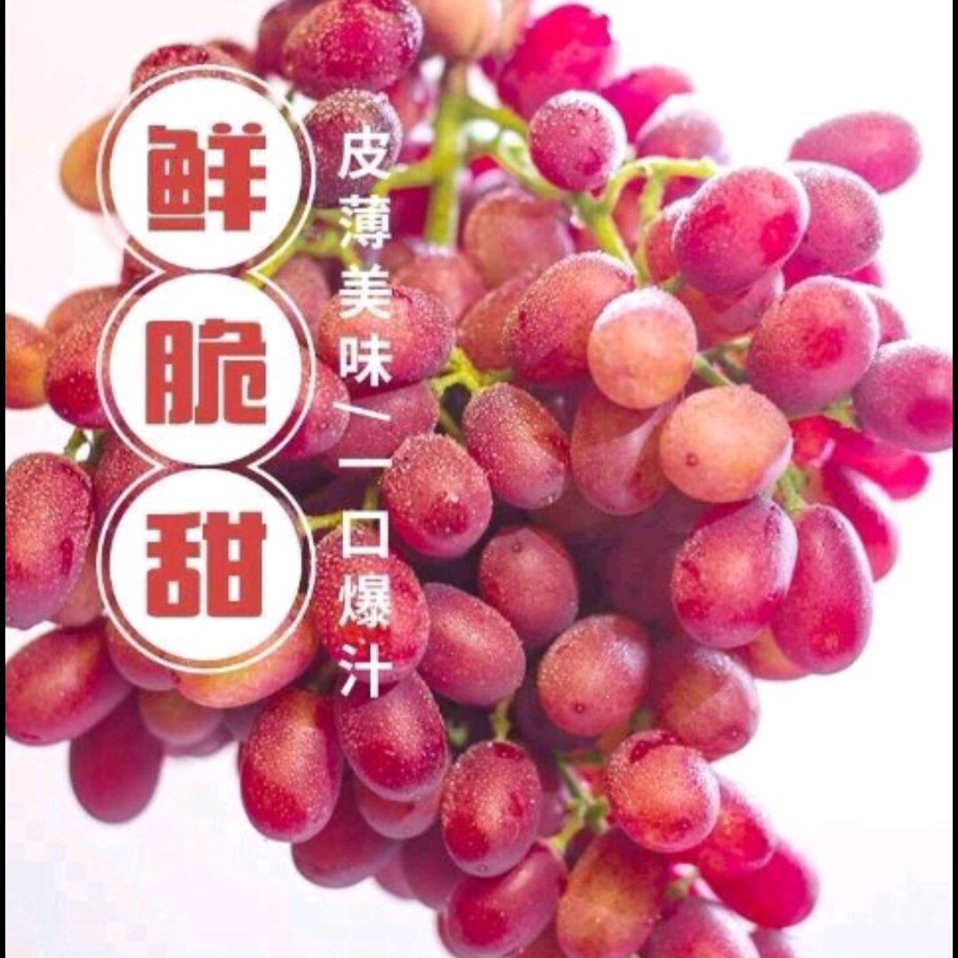 克伦生葡萄美国红提子新疆红色葡萄无籽核红美人新鲜当应反季水果