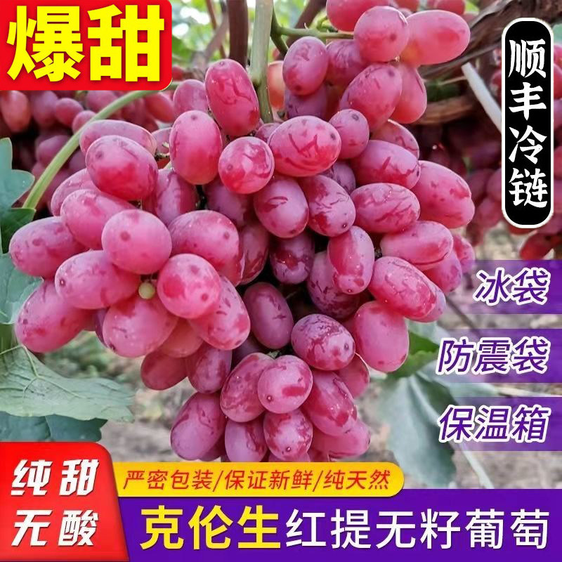 克伦生葡萄美国红提子新疆红色葡萄无籽核红美人新鲜当应反季水果