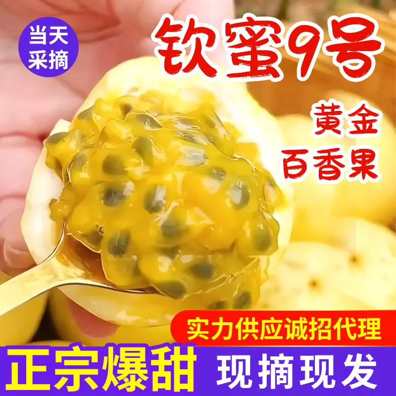 海南钦蜜9号黄金百香果正宗当季