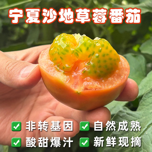 【童年味道】宁夏沙地草莓西红柿