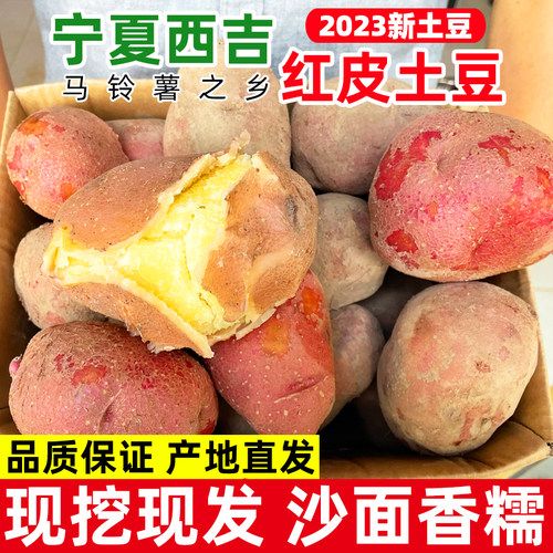 红皮黄心土豆又沙又面今年新土豆