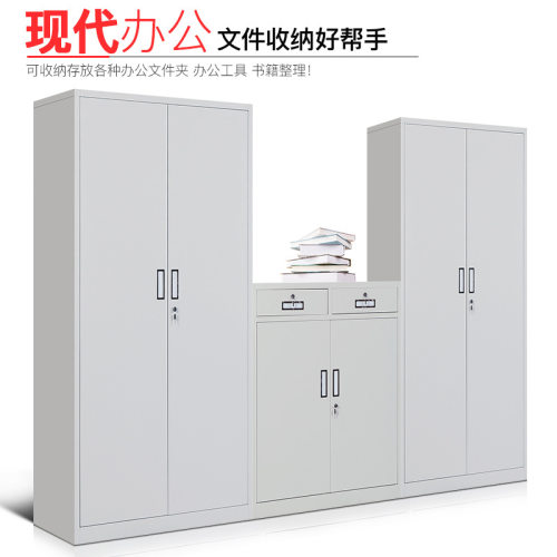 钢制文件柜铁皮柜档案资料柜凭证柜办公室员工柜收纳储物柜财务柜