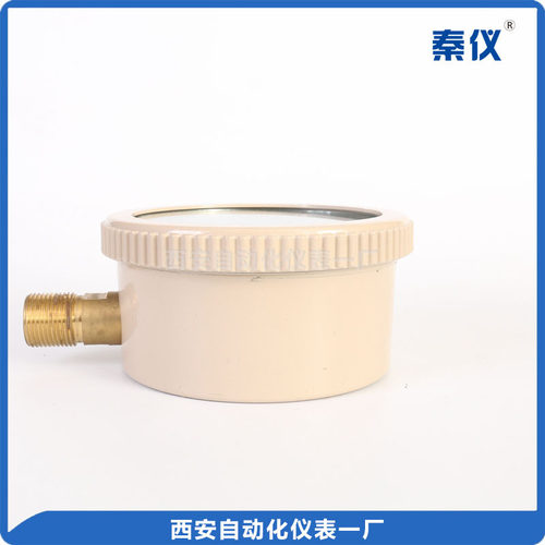 秦仪 西安自动化仪表一厂 膜盒压力表 YE-100