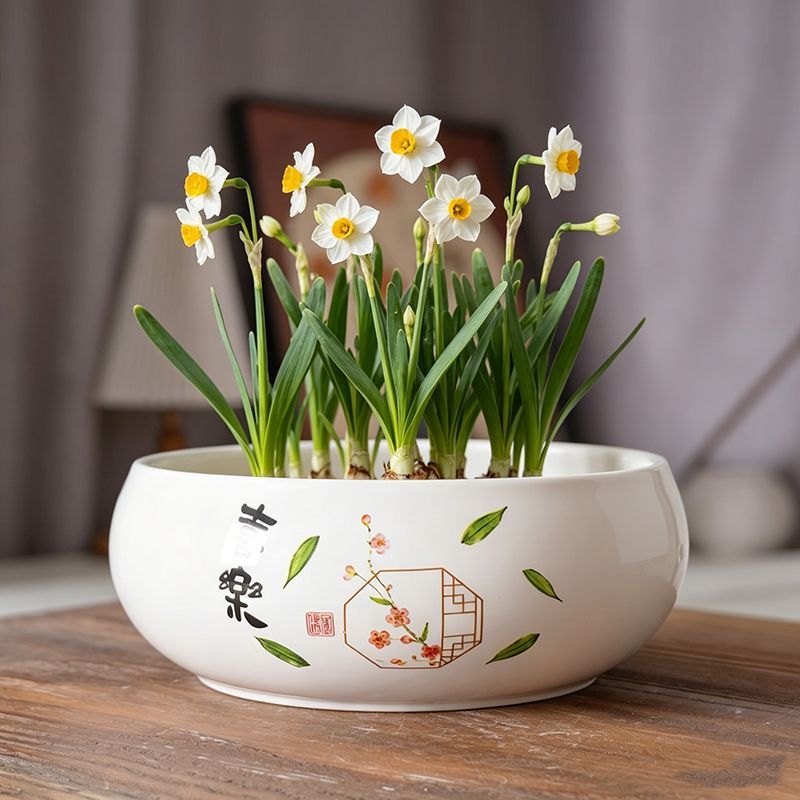 水培花盆陶瓷水仙花莲花大号缸盆无孔碗莲铜钱草睡莲一叶莲绿植盆