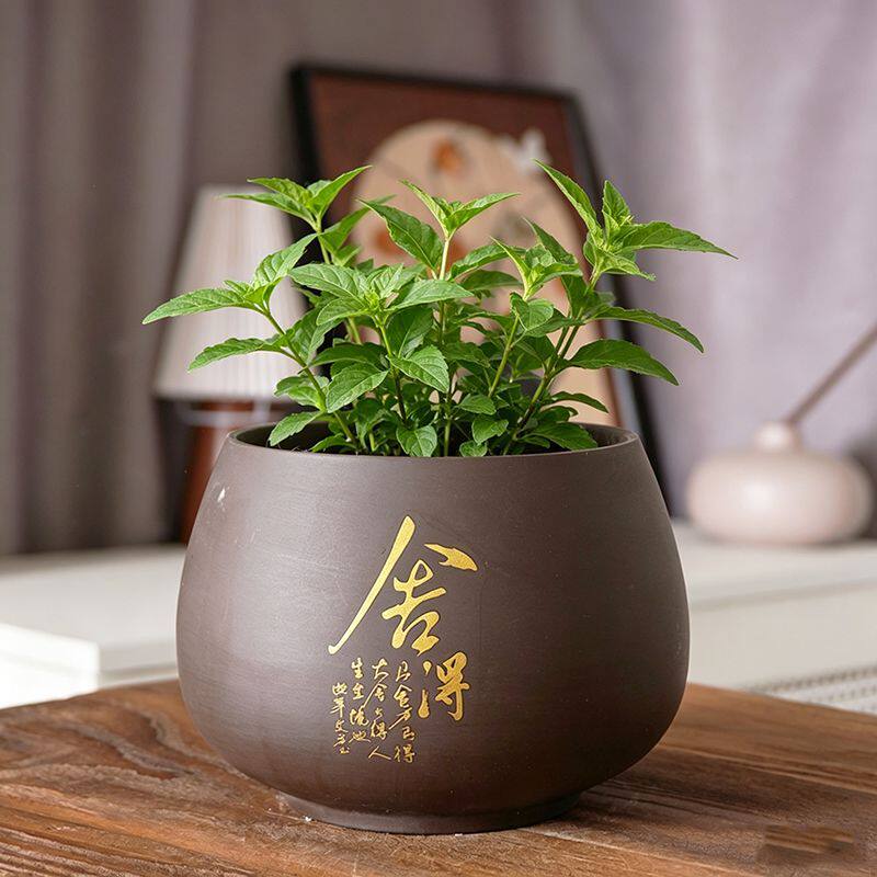 紫砂无孔水培吊兰花盆陶瓷盆景阳台摆件荷花缸铜钱草碗莲专用盆缸
