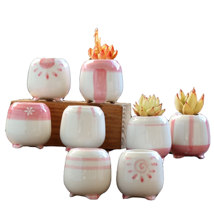 句号彩绘手绘卡通可爱桌面多肉花盆陶瓷特价清仓拇指盆小号小花盆