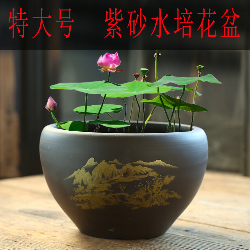 句号紫砂花盆特价清仓水培无孔荷花铜钱草花缸特大号陶瓷碗莲睡莲