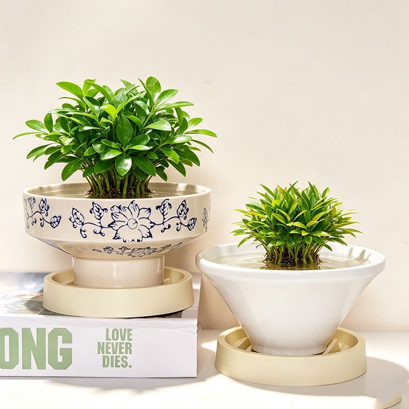 水培无孔花盆苔藓球铜钱草青花蕨类花盆高脚米竹专用斗笠桌面装饰