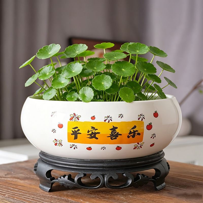 水培花盆陶瓷铜钱草一叶莲无孔莲花大号缸盆睡莲水仙花碗莲绿植盆