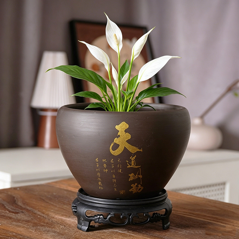 紫砂水培花盆陶瓷盆景无孔吊兰容器虎皮兰绿萝盆栽阳台摆件荷花盆