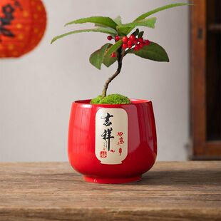 多肉花盆陶瓷中国风祝福词轻奢红色小盆创意个性透气简约桌面装饰
