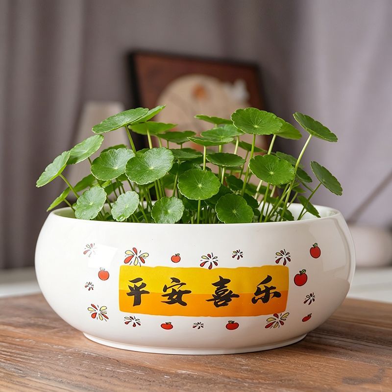 水培花盆陶瓷铜钱草无孔莲花大号缸盆一叶莲碗莲睡莲水仙花绿植盆
