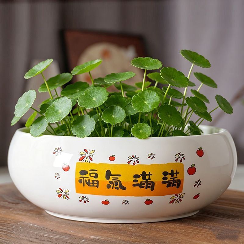 水培花盆陶瓷铜钱草无孔莲花大号缸盆碗莲睡莲水仙花一叶莲绿植盆