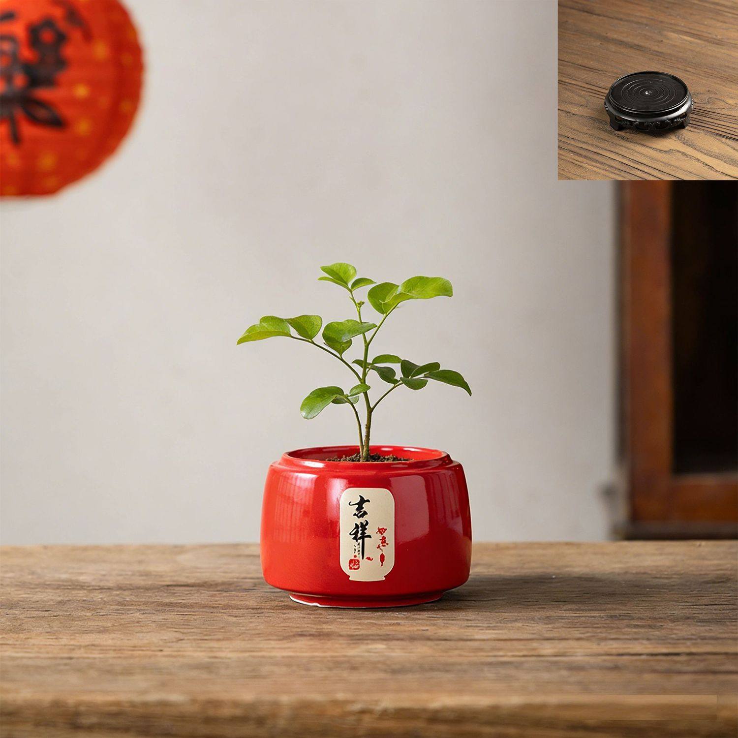 多肉花盆陶瓷喜气精致创意造型装饰盆栽植物盆盆透气有孔桌面个性