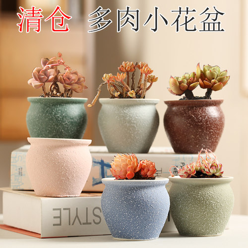 特价清仓多肉陶瓷花盆