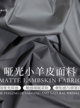 银灰色无光泽哑光雾面小羊皮革PU皮料四面弹力布料紧身裤细腻面料