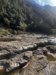 骨結(jié)構(gòu)GJGT