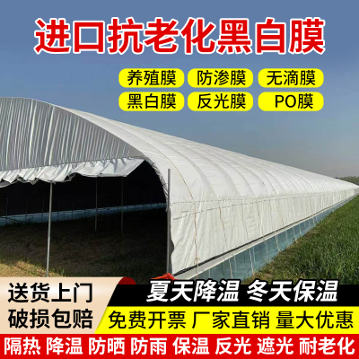 进口大棚膜 无滴膜 高透光PO膜 塑料薄膜 加厚养殖隔热黑白膜