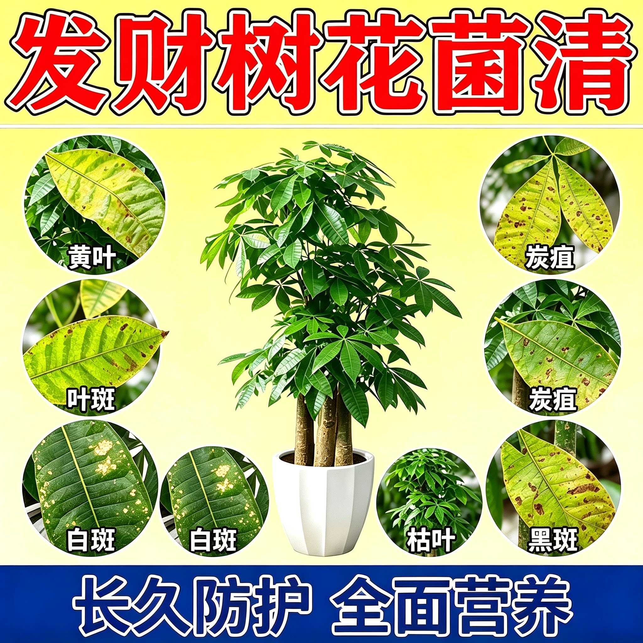 发财树专用营养液叶子发黄叶枯叶专用白斑叶斑掉叶黄斑烂根专用肥