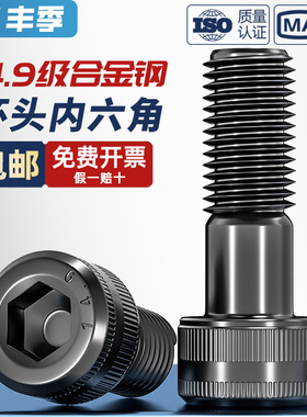 14.9级高强度内六角螺丝螺栓合金钢黑色加长螺钉M6M8M10M12M14M16
