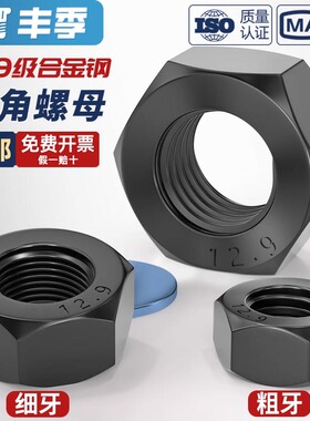 12.9级高强度黑色螺母 螺丝帽细牙螺帽M6M8M10M12M14M16M20M27mm