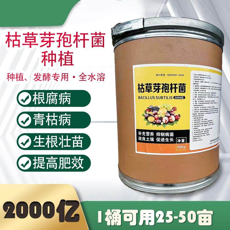 2000亿枯草芽孢菌杆菌微生物菌肥水产养殖农业种植根腐病兽用发酵