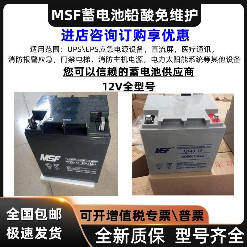 MSF蓄电池MF-12V17A24A38A40A65A100A机房直流屏备用铅酸免维护