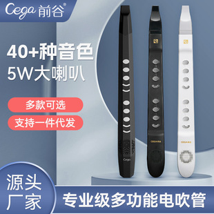 前谷cega电吹管乐器厂直销专业电吹管萨克斯乐器笛子创意礼物