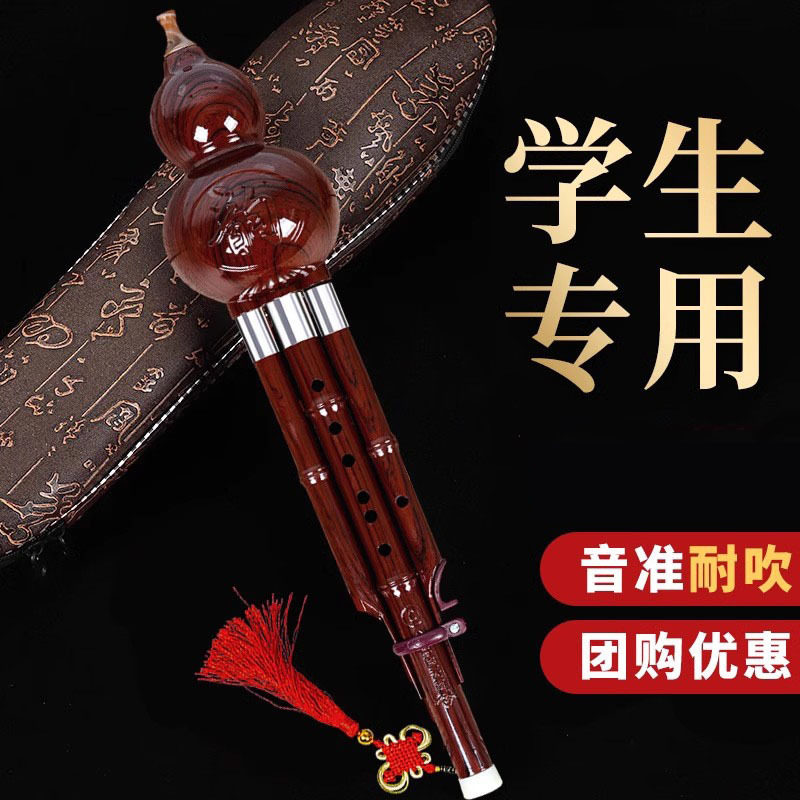 葫芦丝防摔树脂初学者小学生成人儿童入门演奏降B调C调木民族乐器