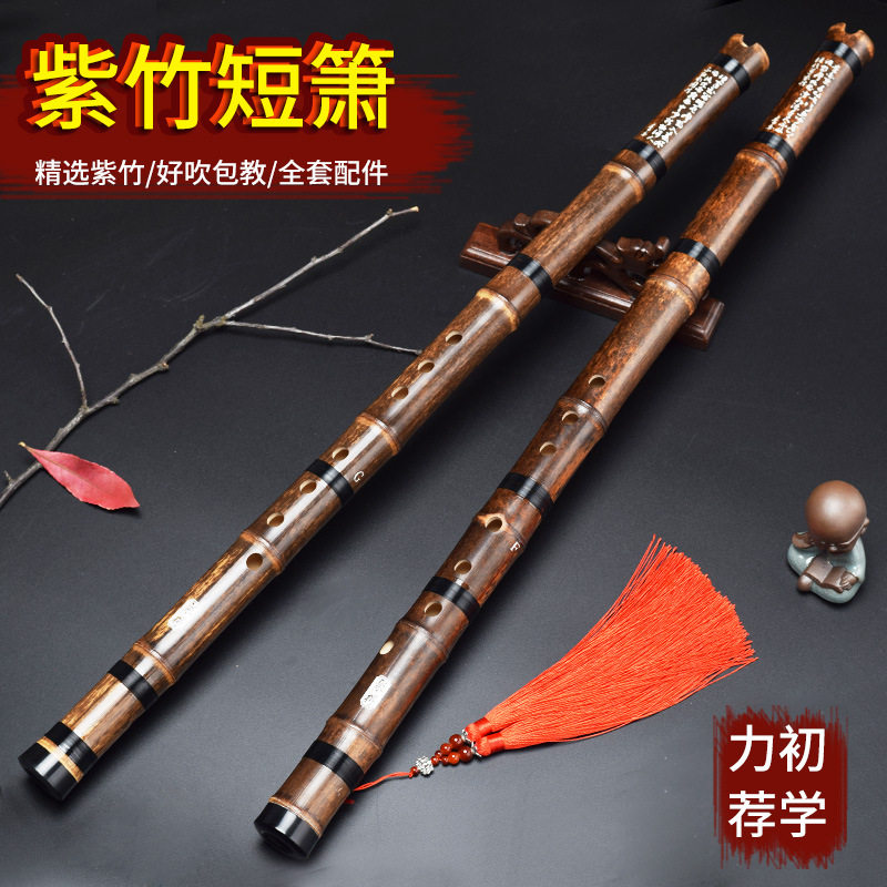 短萧紫竹二节南萧古箫萧笛八孔专业演奏成人南音洞箫GF调随身乐器