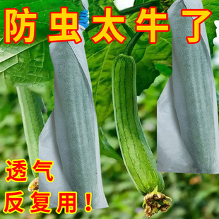 丝瓜苦瓜无纺布套袋黄瓜青瓜防雨水防虫鸟羊角蜜防蜂透气保护套袋