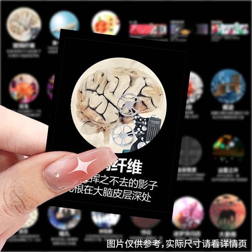 无意义meme哲学贴纸创意文案涂鸦梗图手机手账防水贴画diy