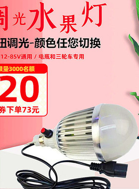 水果灯led生鲜灯电瓶12V摆摊熟食灯超亮鲜肉灯48V可调光变色灯泡