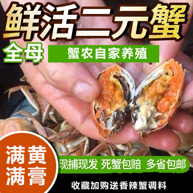 鲜活螃蟹只只满黄顺丰快递好吃