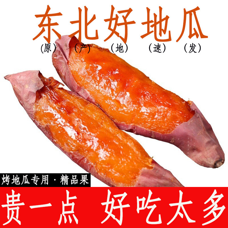 正宗东北瓦房店地瓜新鲜烟薯25闫店农家蜜薯糖心红薯六鳌红心10斤