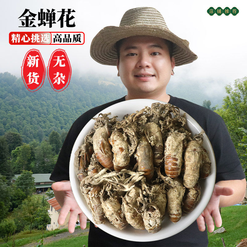 大别山金蝉花野生中药材500g蝉花虫草粉金蚕花金蟾花知了花孢子粉