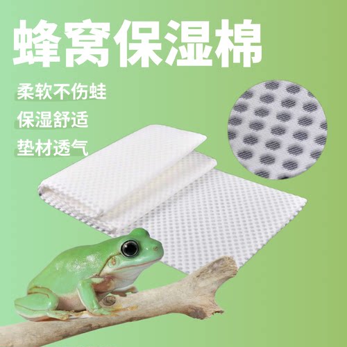 树蛙垫材爬宠姥爷树蛙保湿垫材
