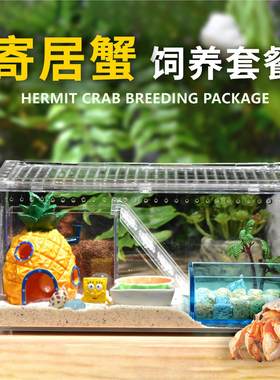 桌面宠物饲养箱好养易活