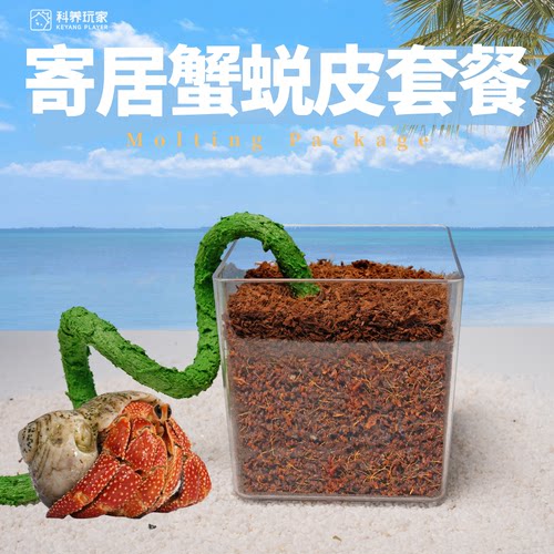 寄居蟹专用蜕皮缸爬藤梯子