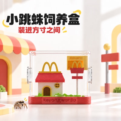 小黑的动物园新跳蛛饲养盒