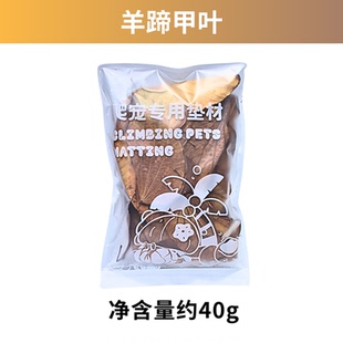 鼠妇垫材羊蹄甲叶 宠物西瓜虫营养土垫材爬宠造景香槟树皮叶