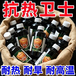 抗热卫士夏季作物抗高温防日灼抗干旱抵御干热风保花芽蒸腾抑制剂