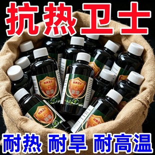 抗热卫士夏季作物抗高温防日灼抗干旱抵御干热风保花芽蒸腾抑制剂