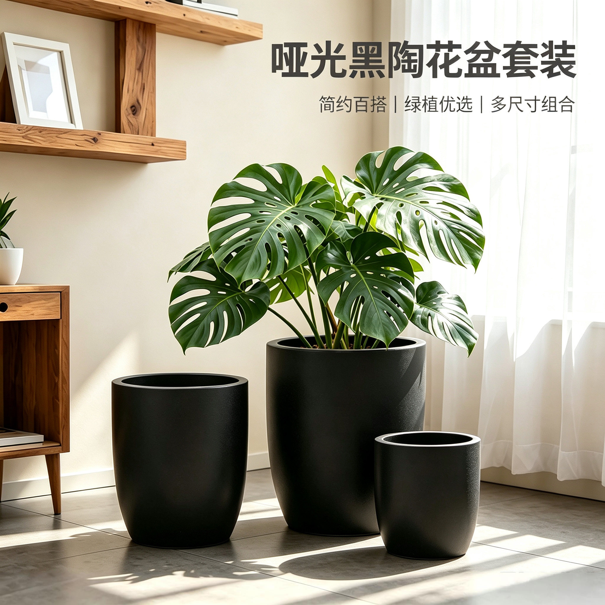 陶瓷大号透气花盆散尾葵龟背竹图片