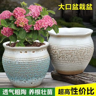 多肉花盆陶瓷清仓特价家用大口径绿萝三角梅专用花盆透气紫砂