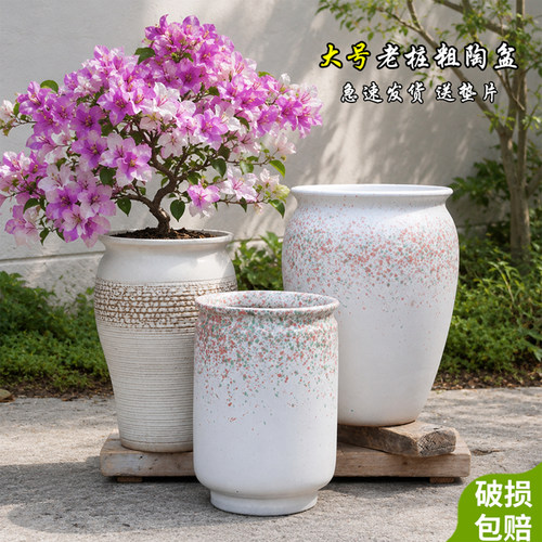 特价清仓简约透气陶土三角梅高盆